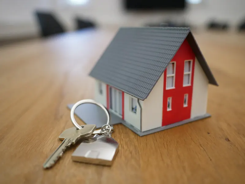 Real estate, Property launch